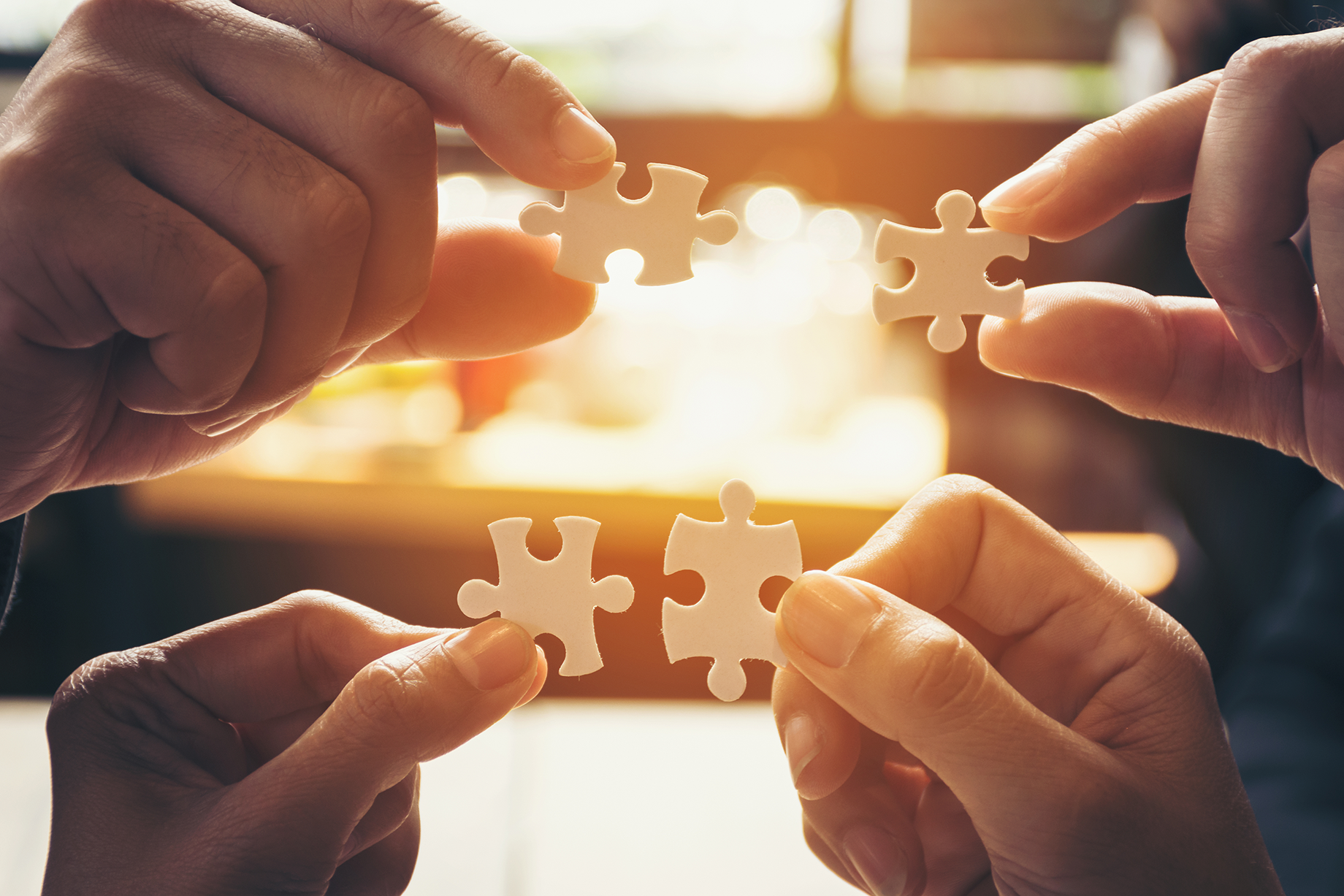 Shutterstock 1029187243