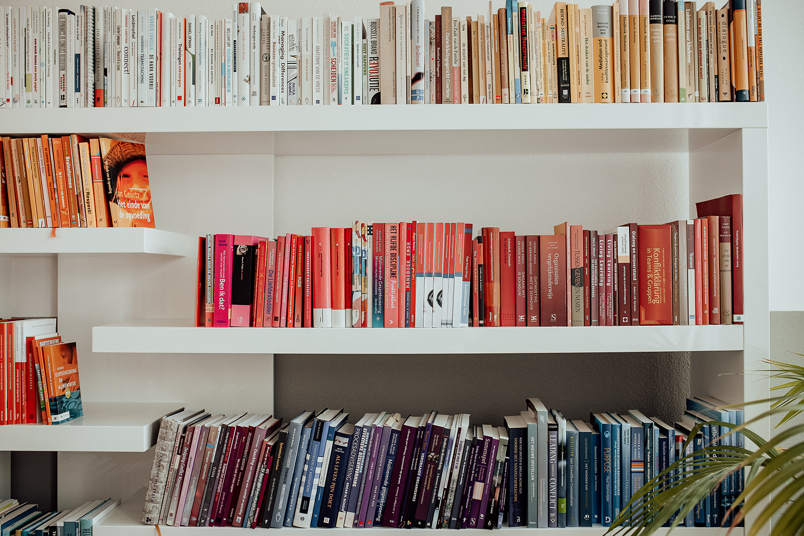 Stories By Josan Bascule 03 22 80 Websize